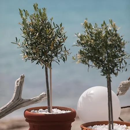 Ferienhaus Hemera House